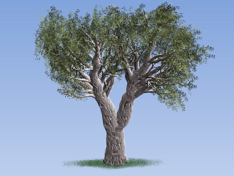 Easy Painting: African Olive Tree