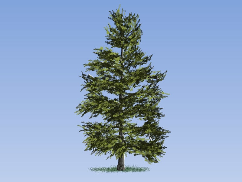 Easy Painting: Alaska Cedar Tree