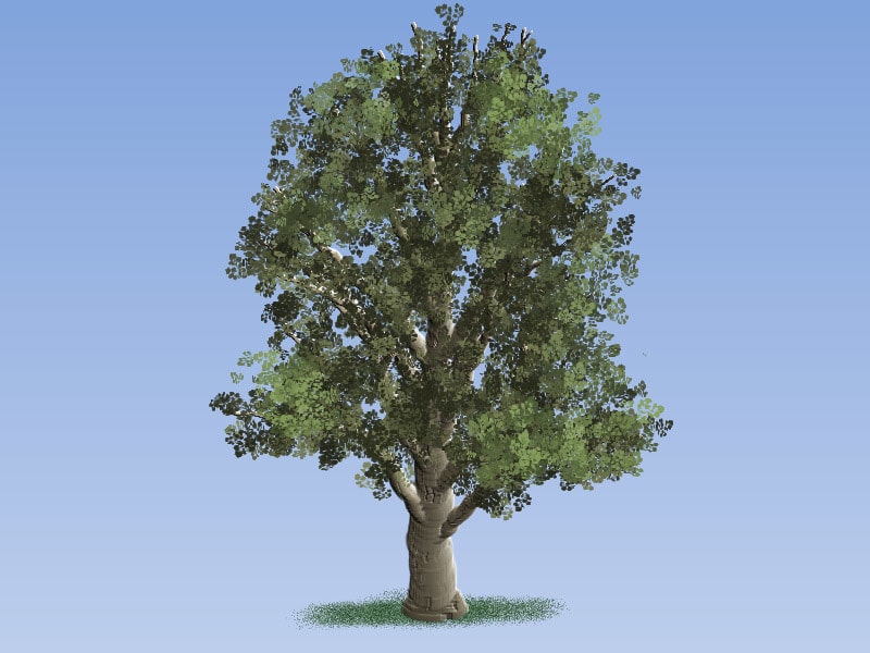 Easy Painting: American Sycamore Tree