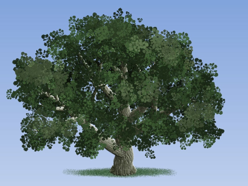 Easy Painting: Big Leaf Maple Tree