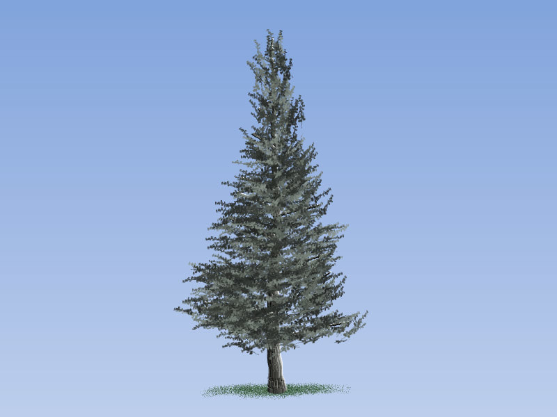 Easy Painting: Blue Spruce Tree