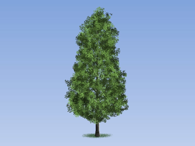 Easy Painting: Cypress Oak Tree