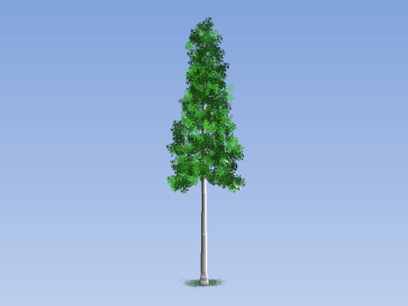 Easy Painting: European Aspen Tree