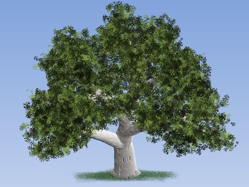 Easy Painting: European Beech Tree