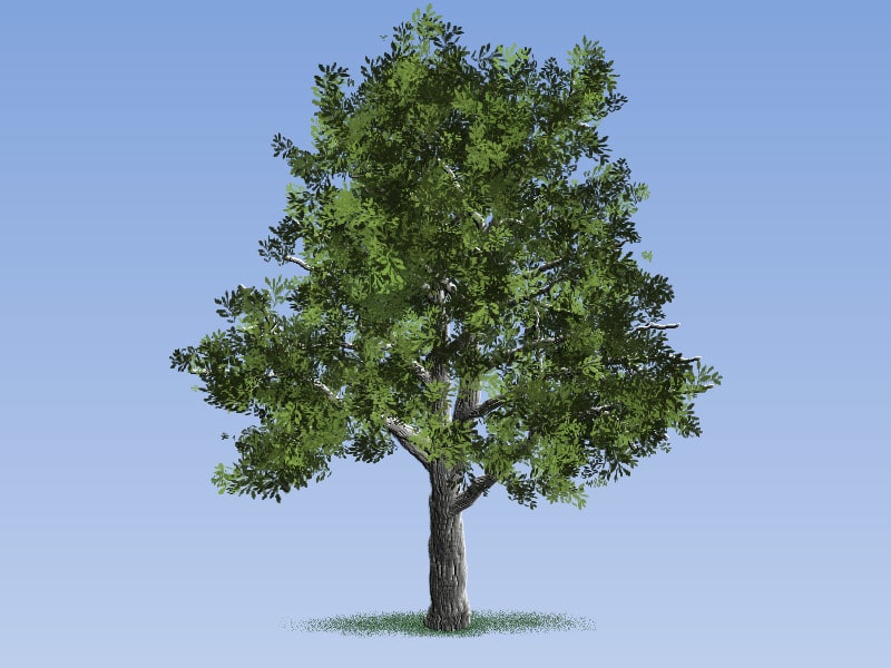 Easy Painting: European Linden Tree