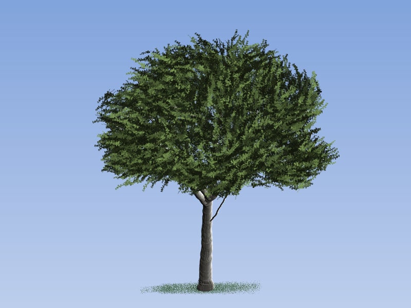 Easy Painting: Italian Stone Pine Tree