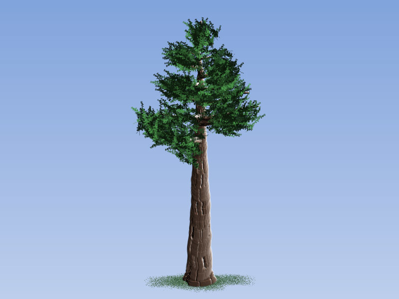Easy Painting: Redwood Tree