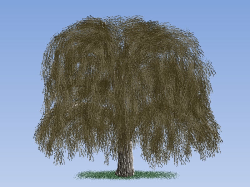Easy Painting: Weeping Willow Tree
